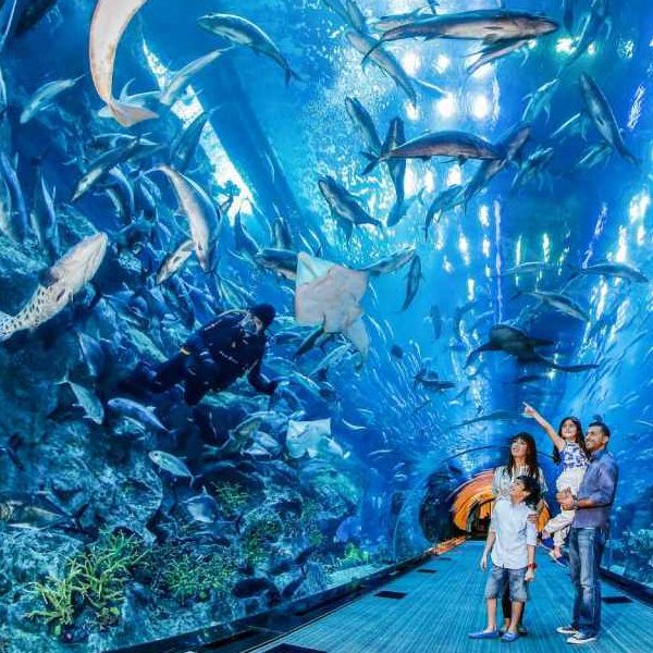family at dubai aquarium