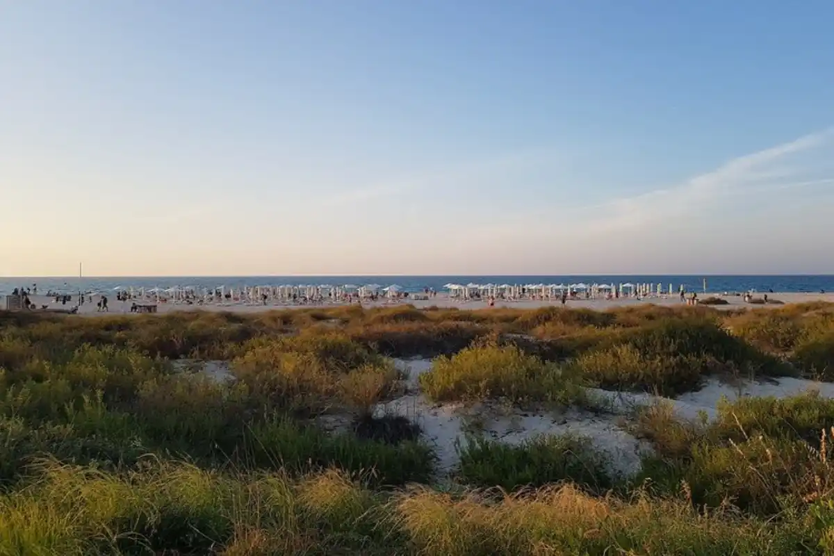 Saadiyat Public Beach